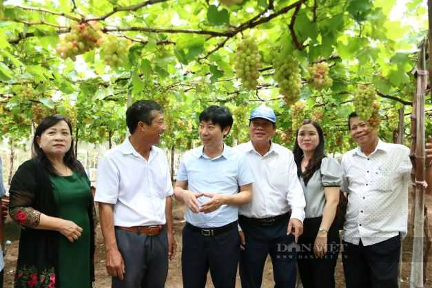 Bàn giao nhà mái ấm cho hội viên nông dân nghèo tại Ninh Thuận - Ảnh 5.