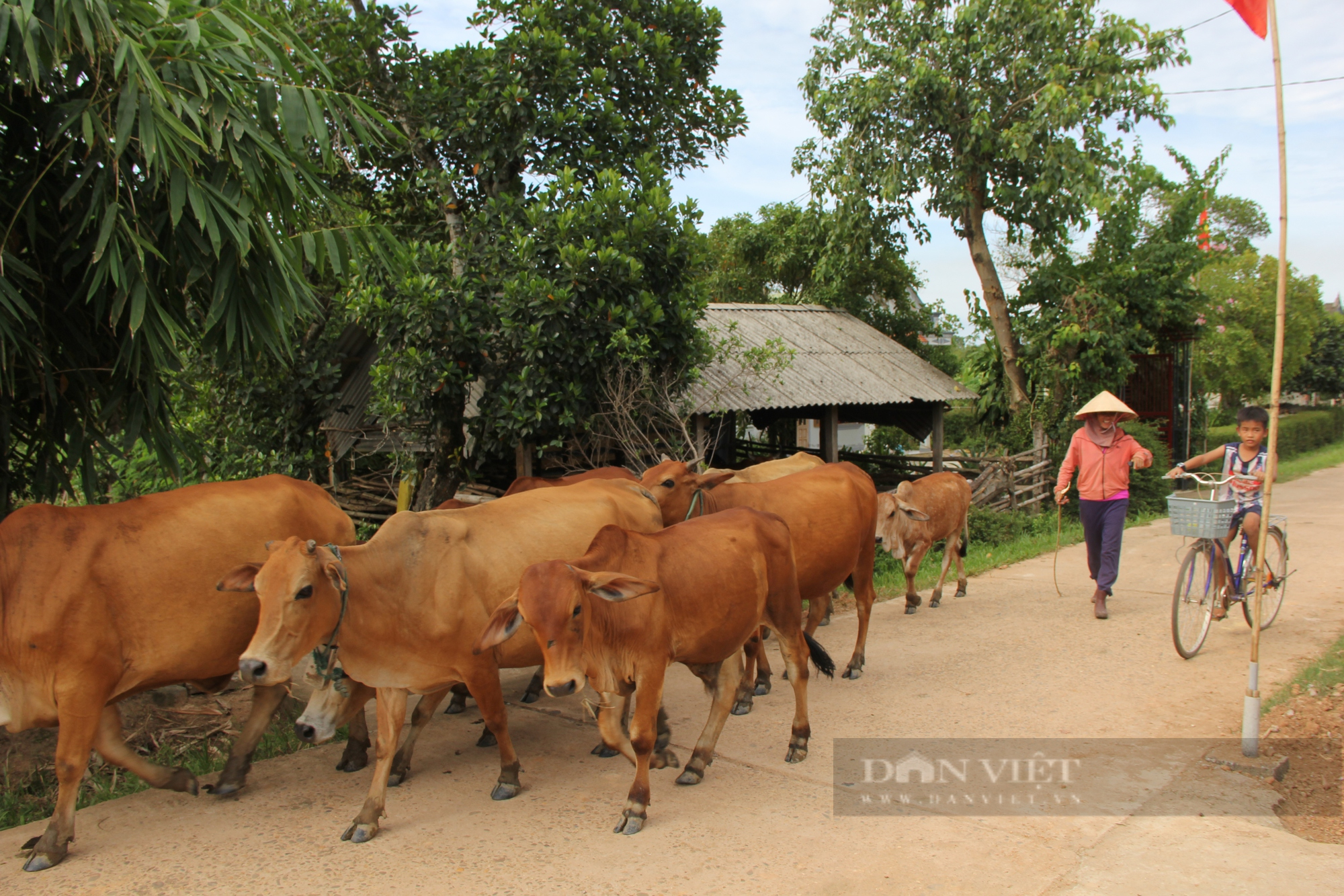 “Vốn tập đi” giúp dân thoát nghèo - Ảnh 3.