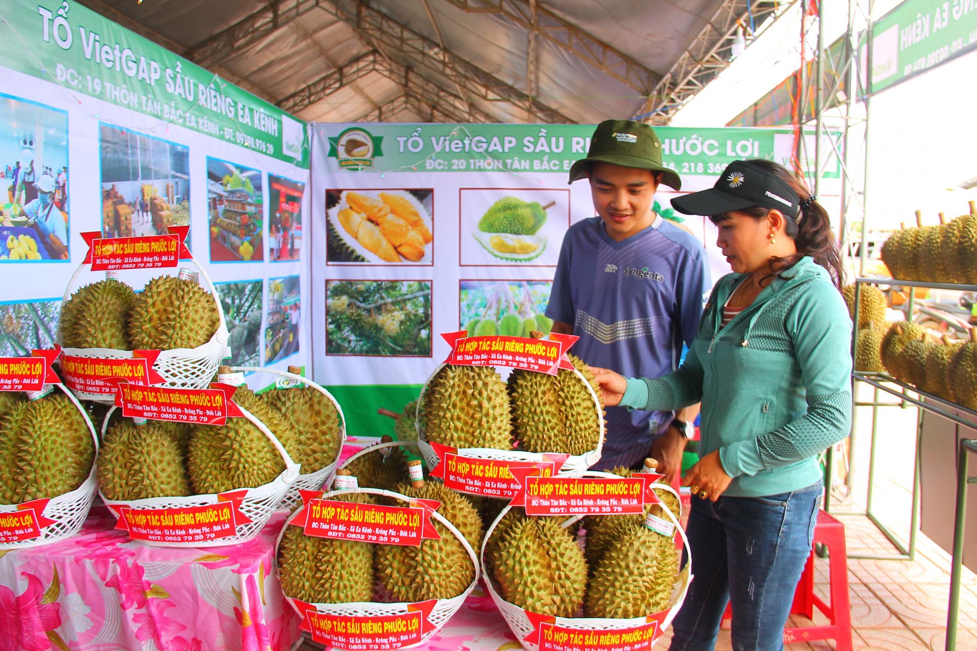 Trung Quốc cấp mã số xuất khẩu cho vùng trồng sầu riêng