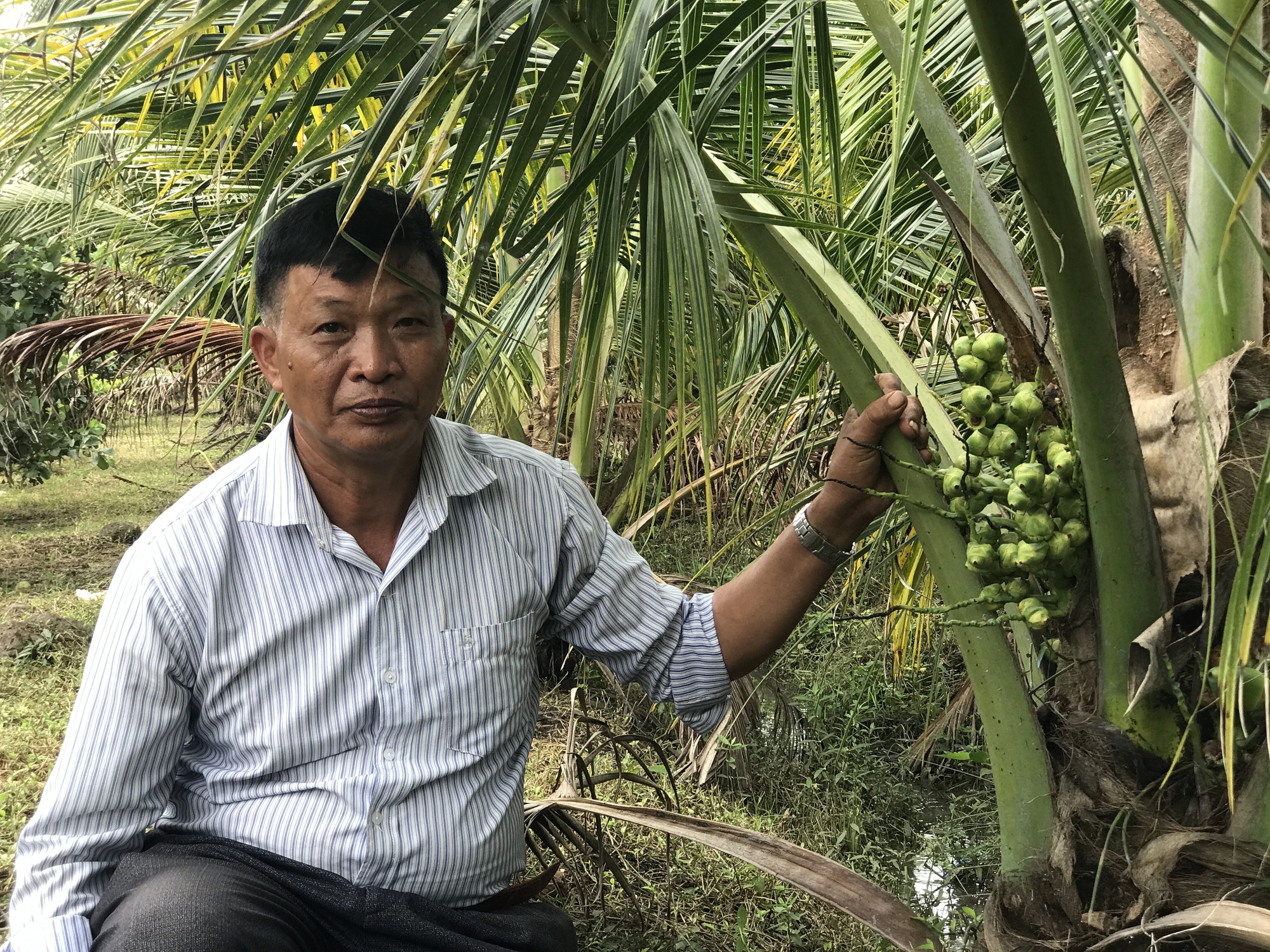 Bí quyết làm giàu của nông dân xuất sắc năm 2022 ở Đắk Nông - Ảnh 3.