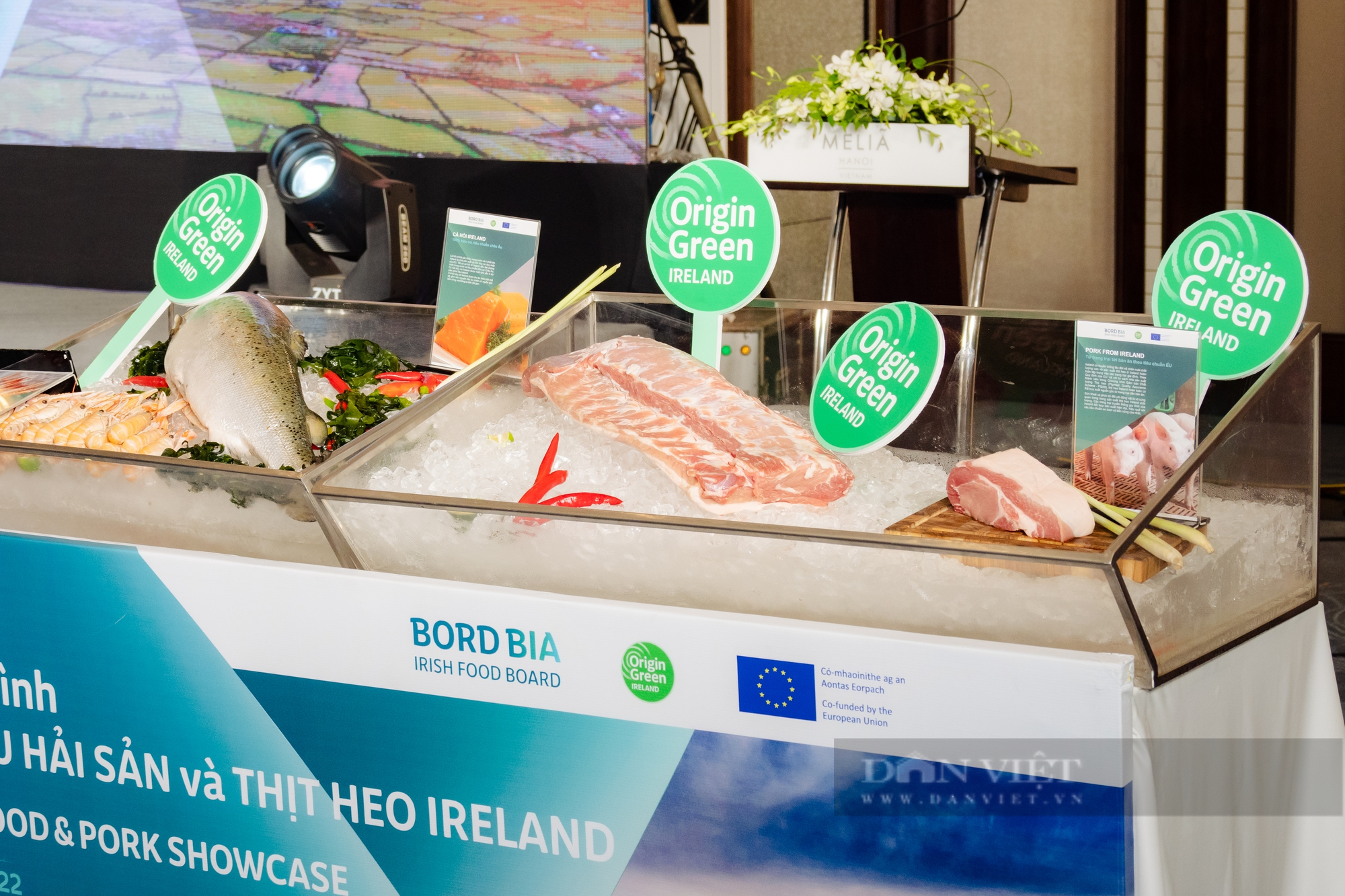 Ireland mong muốn mở rộng đường xuất khẩu sữa, thịt heo và hải sản cho thị trường Việt Nam - Ảnh 3.