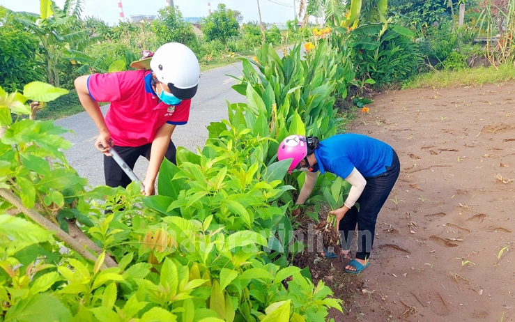 Một xã ở Trà Vinh có tới 7 tuyến đường hoa nông thôn mới, người ở xa về ai nấy đều thấy đẹp ngỡ ngàng