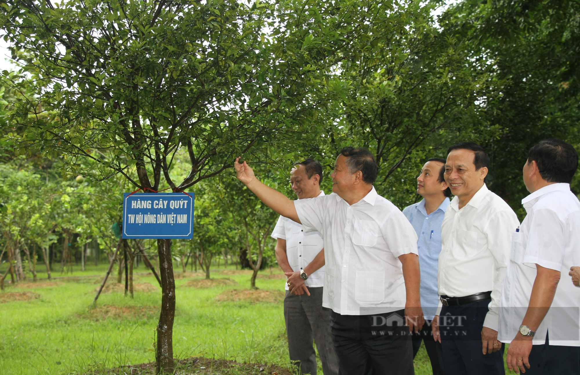 Đoàn đại biểu Trung ương Hội Nông dân Việt Nam dâng hoa tưởng niệm Chủ tịch Hồ Chí Minh - Ảnh 6.