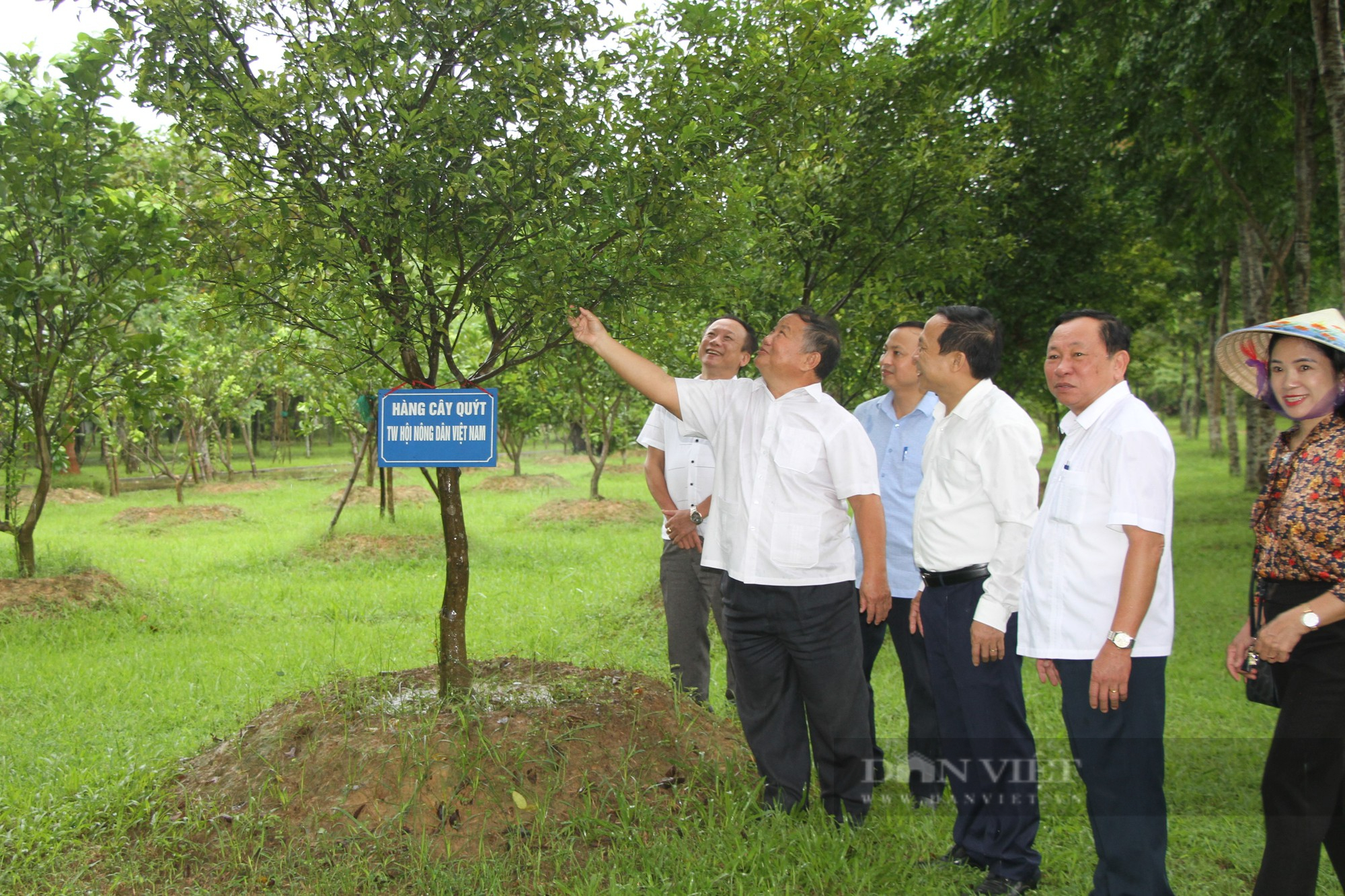 Đoàn đại biểu Trung ương Hội Nông dân Việt Nam dâng hoa tưởng niệm Chủ tịch Hồ Chí Minh - Ảnh 5.