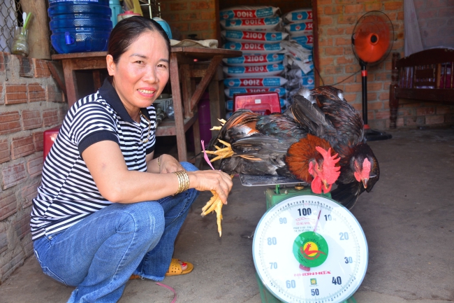 Đây là cách nuôi gà thả vườn của nông dân Quảng Ngãi, cứ nói bán được rồi mà có người mua ngay - Ảnh 2.