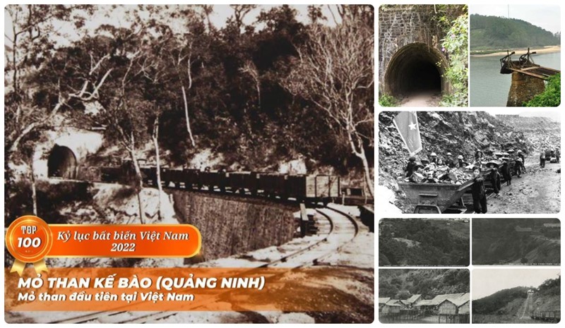 Thảo cầm viên và rừng ngập mặn Cần Giờ lọt top 100 kỷ lục bất biến của Việt Nam - Ảnh 2.