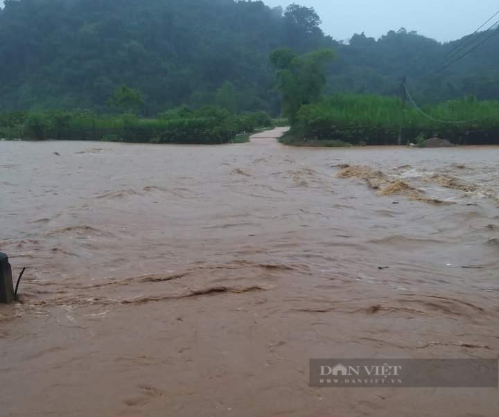 Mưa như trút nước, nhiều địa phương ở Nghệ An bị chia cắt, khẩn cấp di dời dân trong vùng nguy hiểm - Ảnh 6.