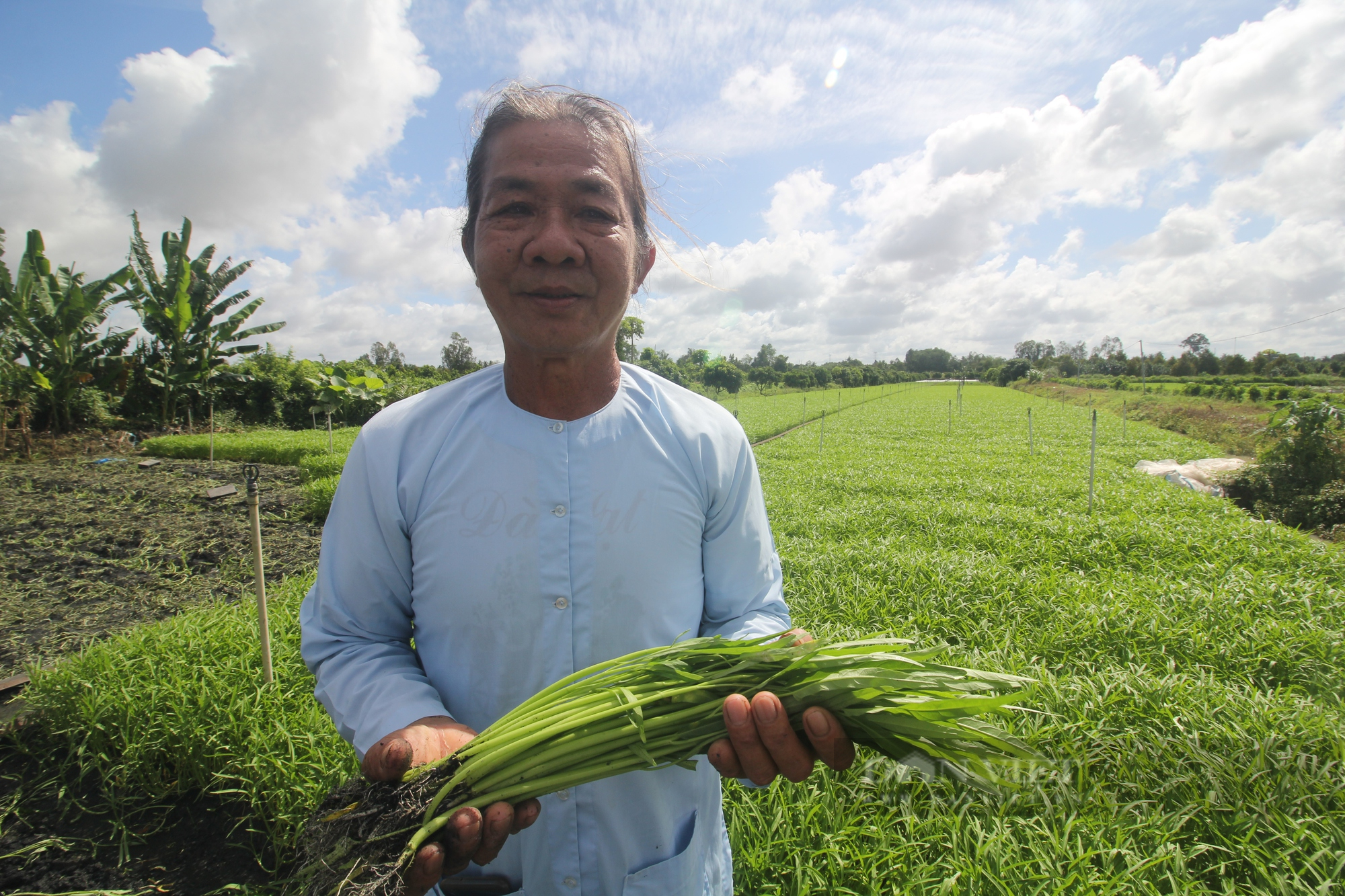 Nông dân xuất sắc 2022 đến từ Cần Thơ là người trồng cây rau muống, từng bán đất vì nợ nần - Ảnh 3.