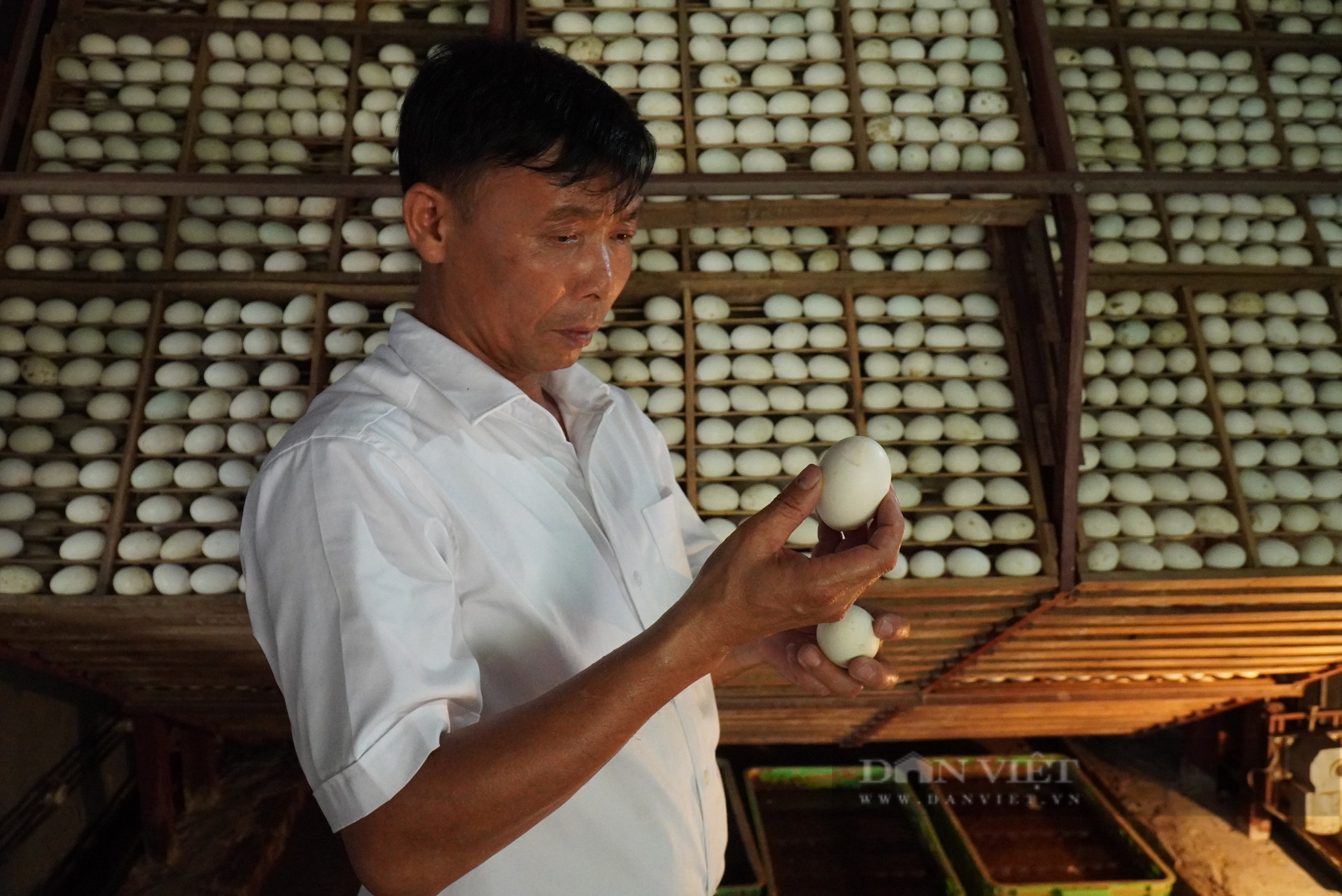 Nuôi vịt đẻ lấy trứng ấp thành trứng lộn, một nông dân ở Bắc Giang được bình chọn Nông dân Việt Nam xuất sắc 2022 - Ảnh 2.