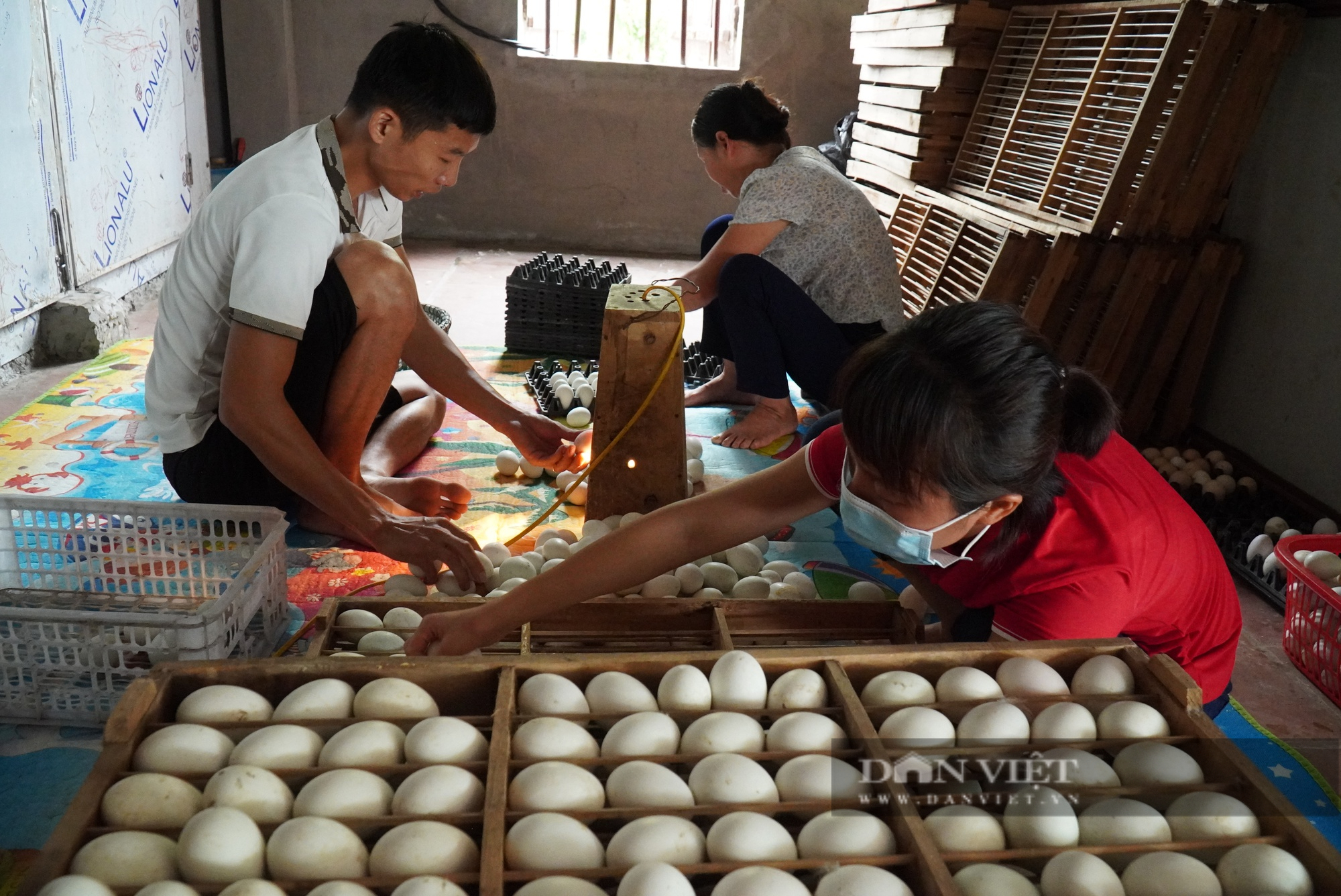 Nuôi vịt đẻ lấy trứng ấp thành trứng lộn, một nông dân ở Bắc Giang được bình chọn Nông dân Việt Nam xuất sắc 2022 - Ảnh 3.