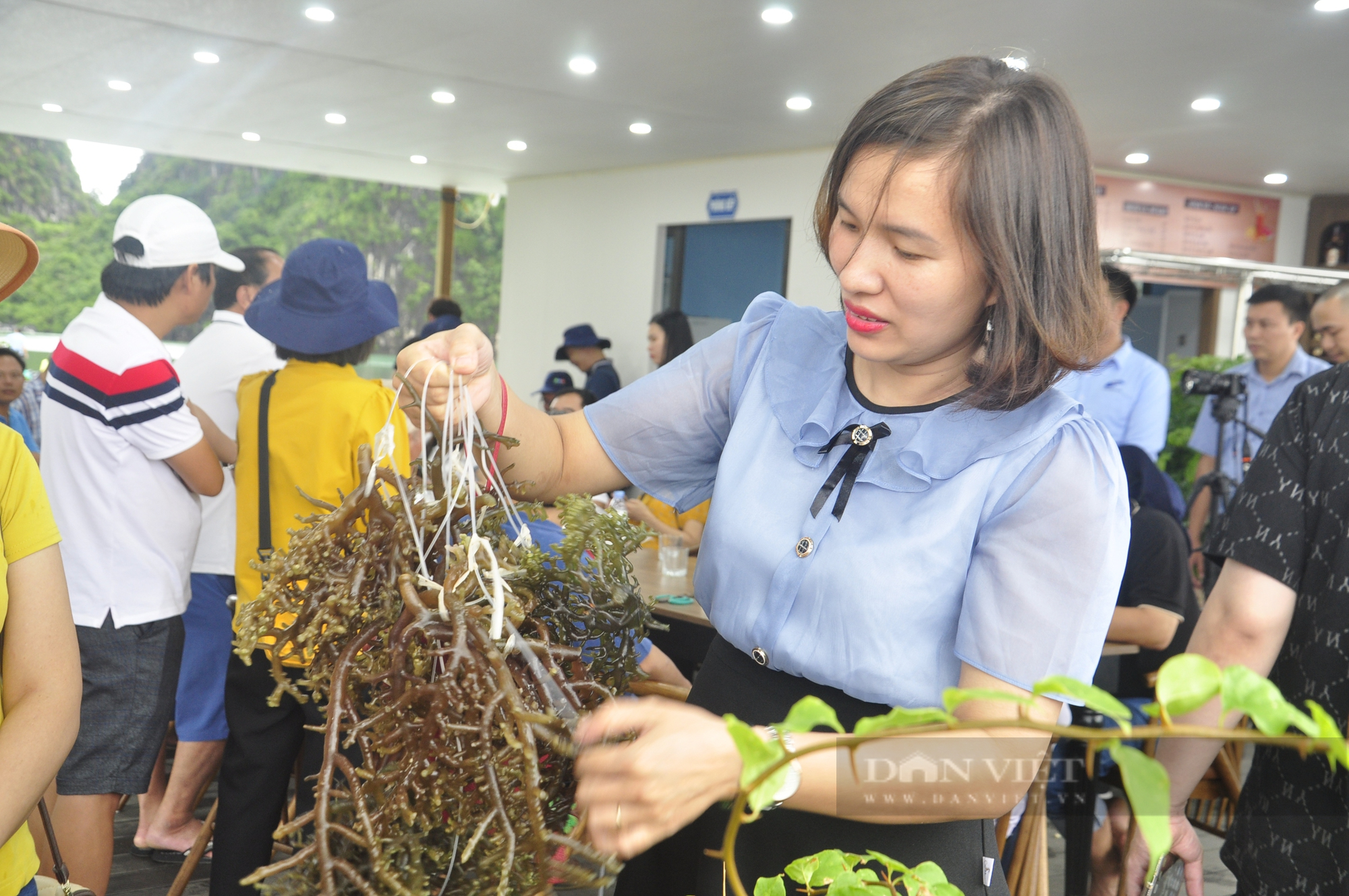 Gần 200 đại biểu cùng thảo luận phát triển bền vững nghề nuôi cá lồng bè trên biển - Ảnh 5.