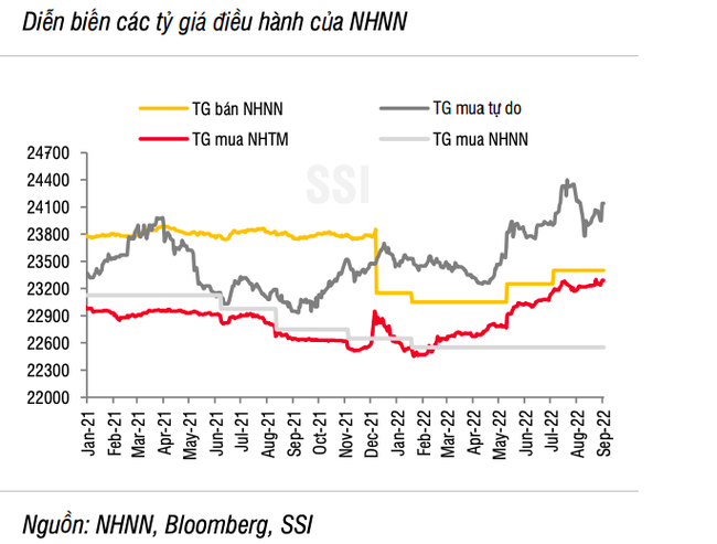 Chuyên gia SSI Research: Gần 185 nghìn tỷ đồng đã được hút khỏi hệ thống - Ảnh 3.