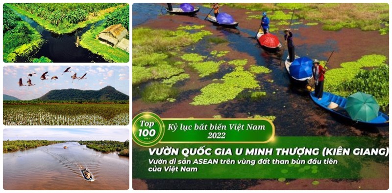 Thảo cầm viên và rừng ngập mặn Cần Giờ lọt top 100 kỷ lục bất biến của Việt Nam - Ảnh 22.