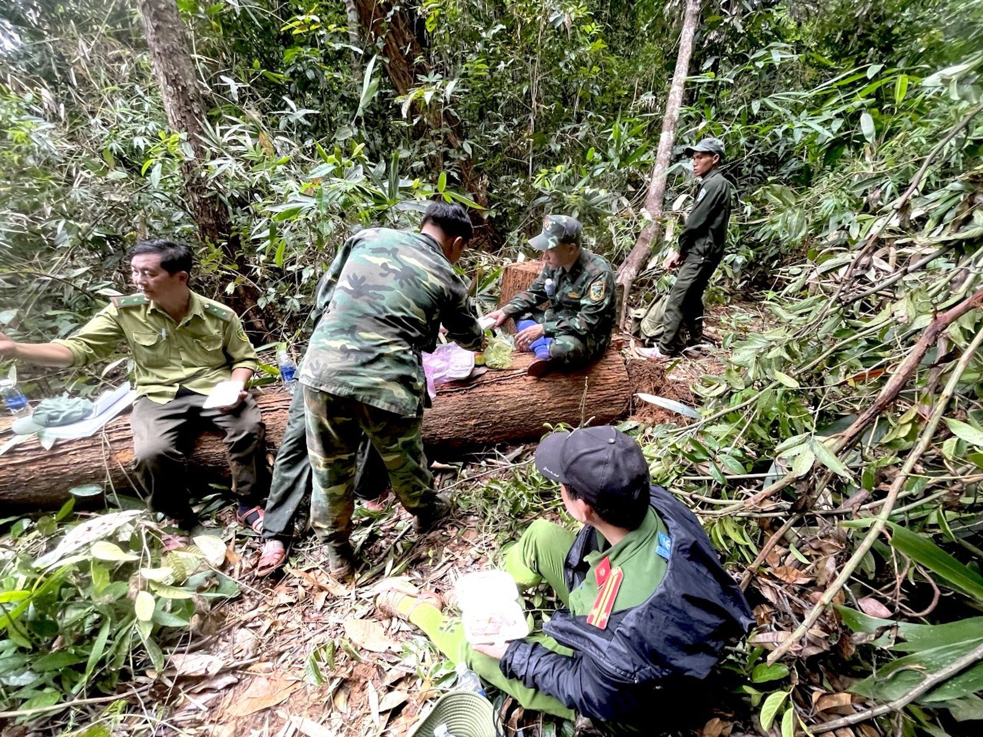 Kon Tum: Phát hiện vụ khai thác gỗ quy mô lớn ở vùng biên - Ảnh 2.