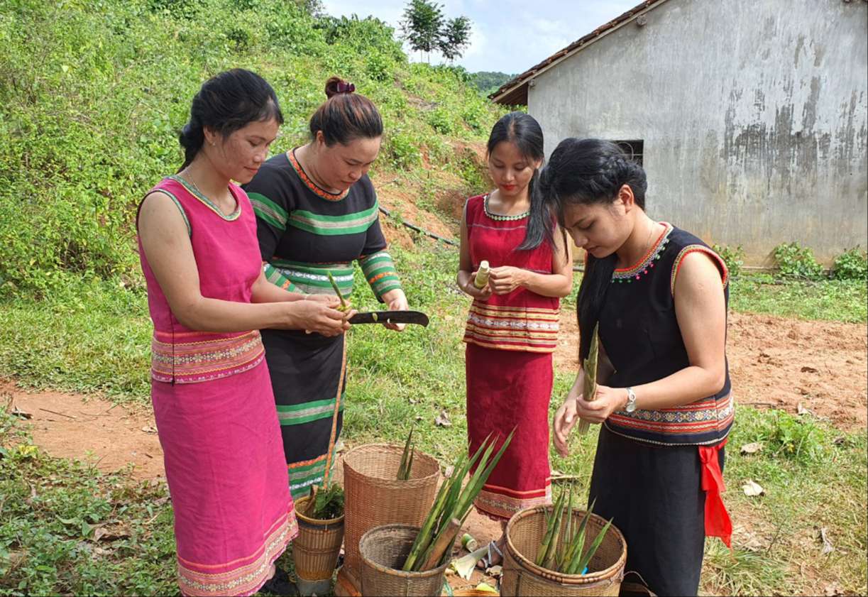 Thứ rau rừng mầm nhọn hoắt này ở Kon Tum bà con dân tộc Xơ Đăng đem nấu với cá suối, chuột rừng, thịt sóc - Ảnh 6.