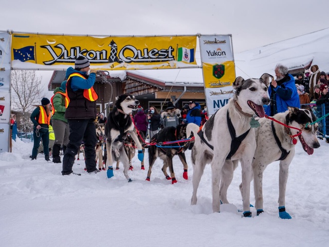 Cuộc đua quan tài, chó kéo xe... là loạt lễ hội mùa đông kỳ quái - Ảnh 9.