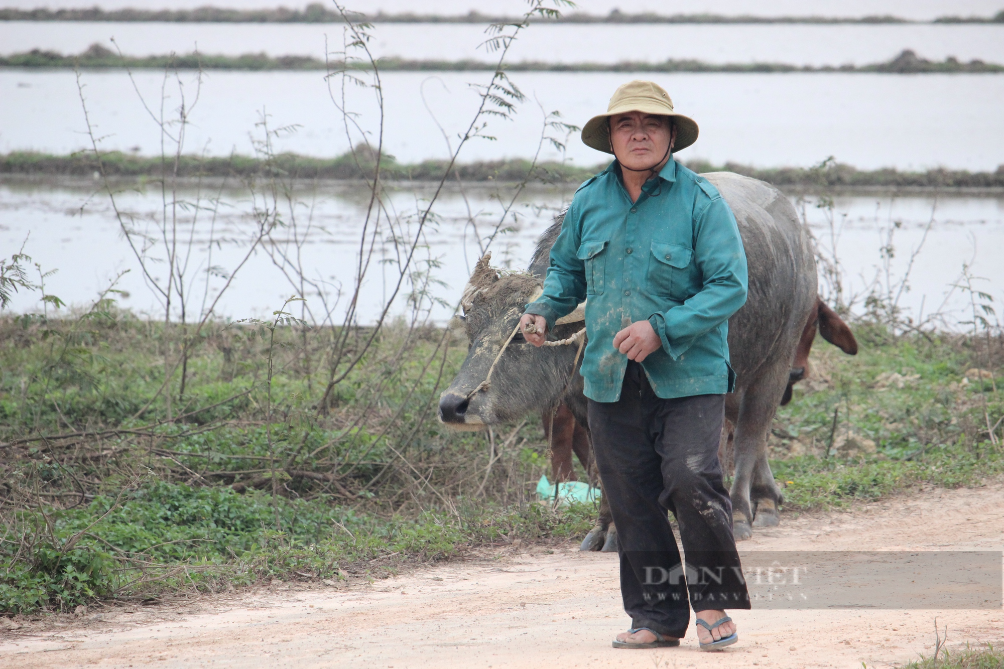 Nông dân Quảng Bình ra đồng trong giá rét ngày đầu năm, kỳ vọng mùa vụ bội thu - Ảnh 3.