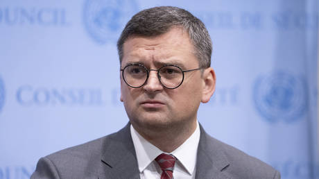 Ngoại trưởng Ukraine kêu gọi thêm vũ khí, quan chức Nga cảnh báo bản chất của cuộc xung đột - Ảnh 1.