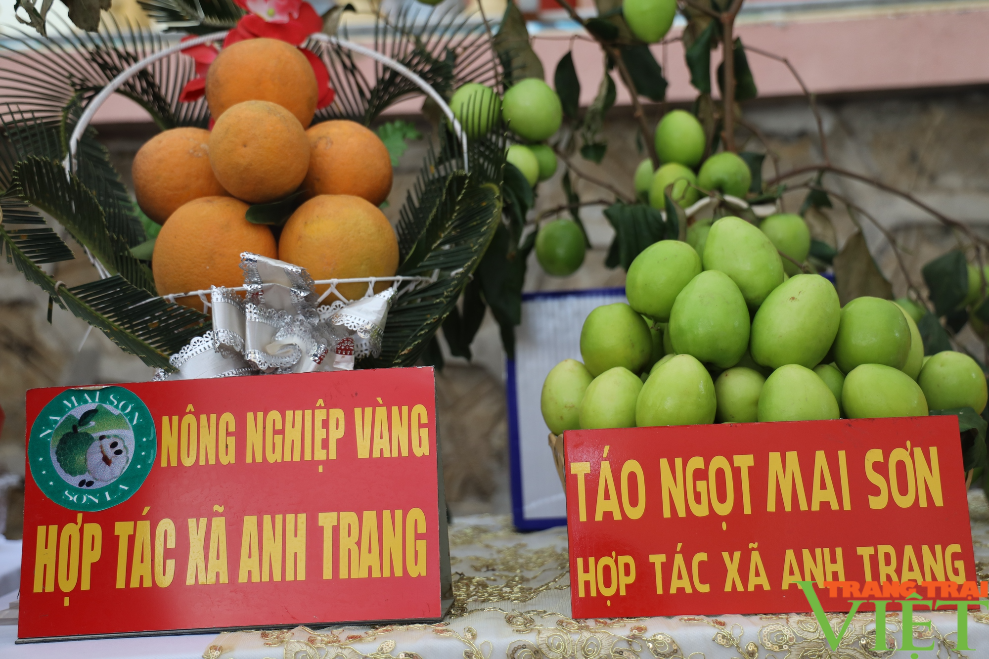 Vùng núi Sơn La phát triển nông nghiệp công nghệ cao - Ảnh 9.