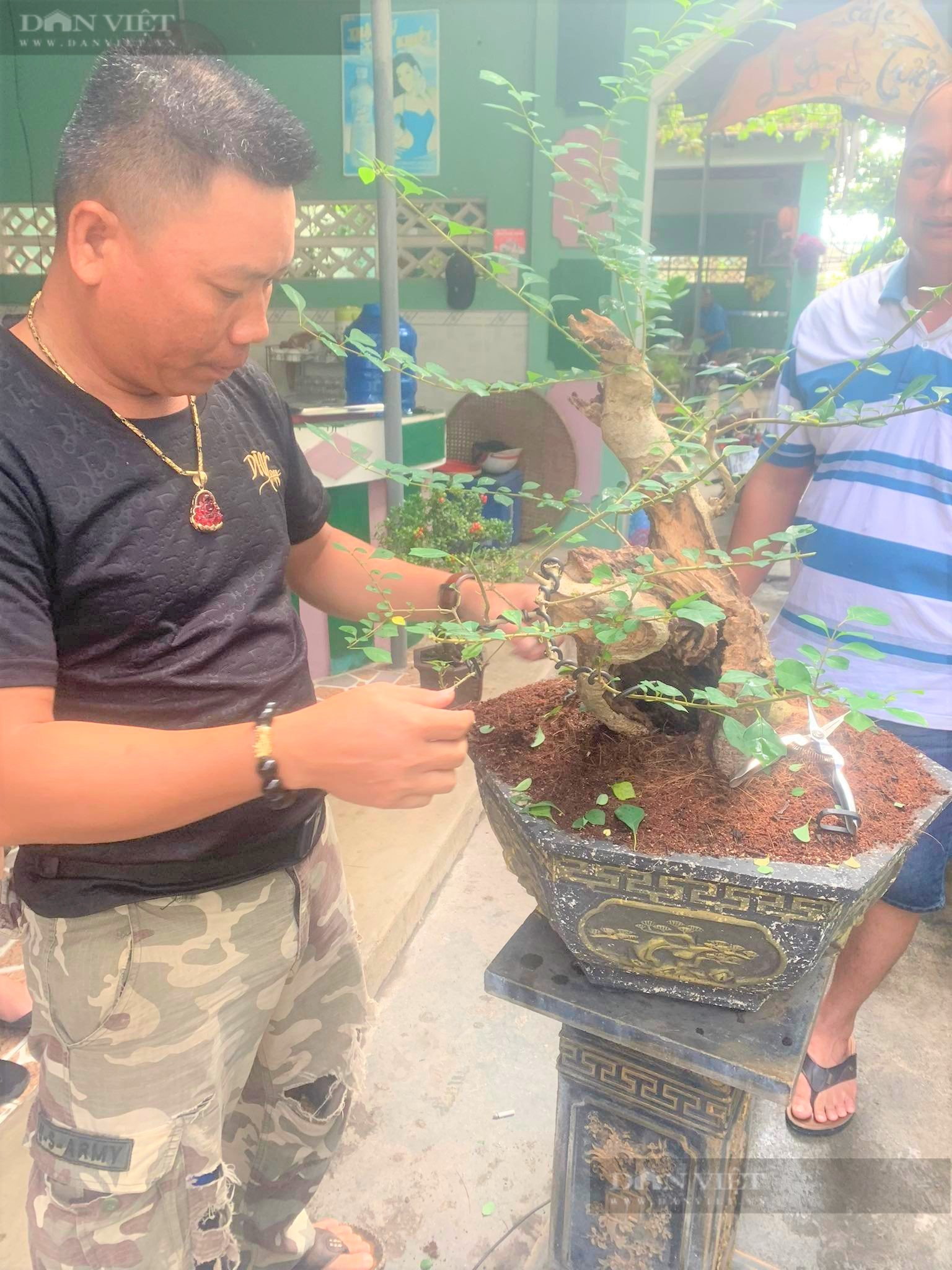 Phú Yên: “Tuyệt phẩm” bonsai mini đắt đỏ dành cho nhà giàu dịp Tết - Ảnh 9.