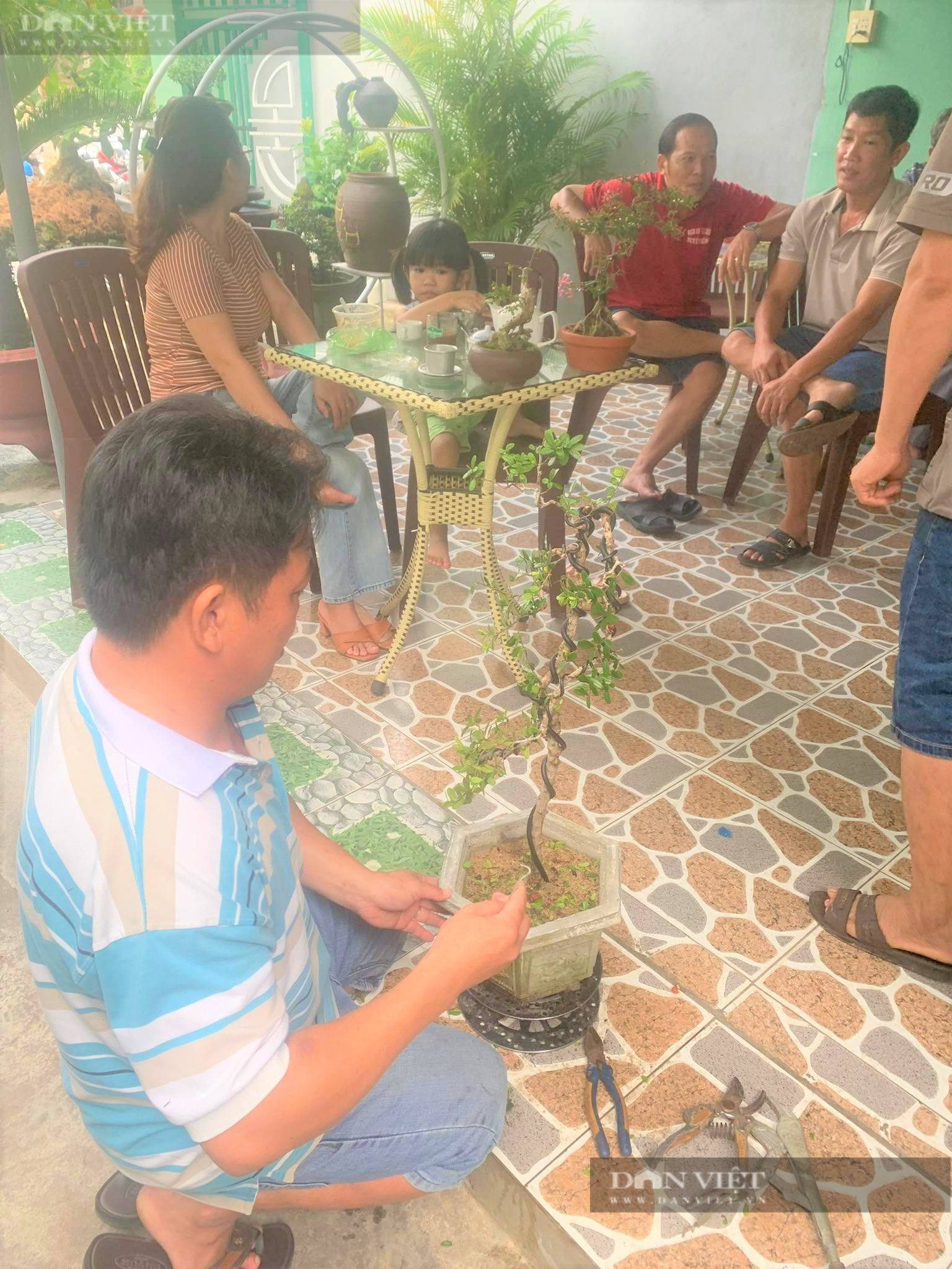 Phú Yên: “Tuyệt phẩm” bonsai mini đắt đỏ dành cho nhà giàu dịp Tết - Ảnh 10.