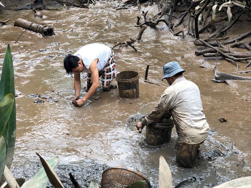 Xổ đập ngày Tết ở miền Tây, bắt tôm càng xanh to bự lên kho tàu làm cơm cúng ông bà, tổ tiên - Ảnh 1.