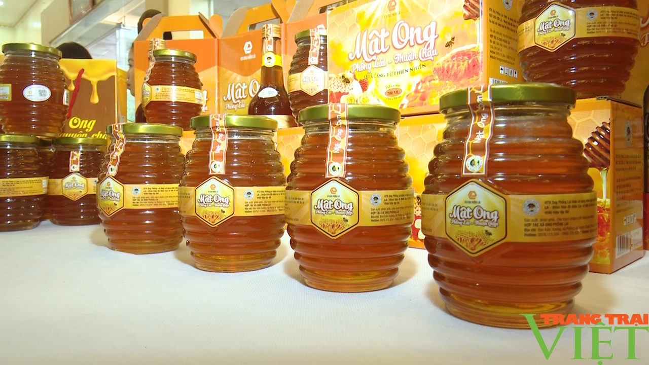 Nghề nuôi ong lấy mật ở Phổng Lái - Ảnh 6.