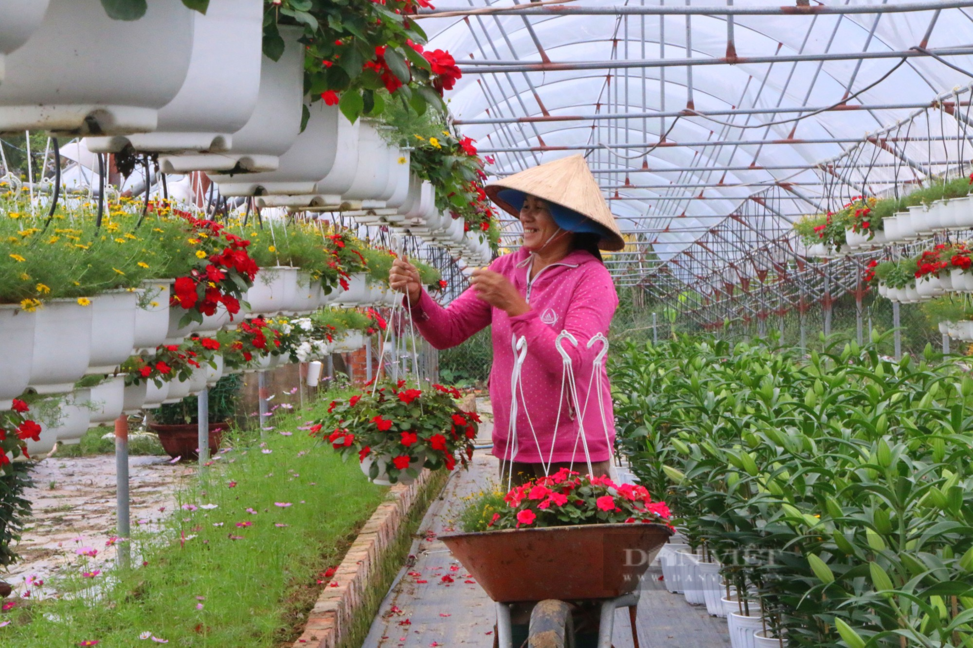 Vựa hoa lớn nhất tại Đà Nẵng trúng đậm, chưa đến Tết đã hết hoa - Ảnh 4.