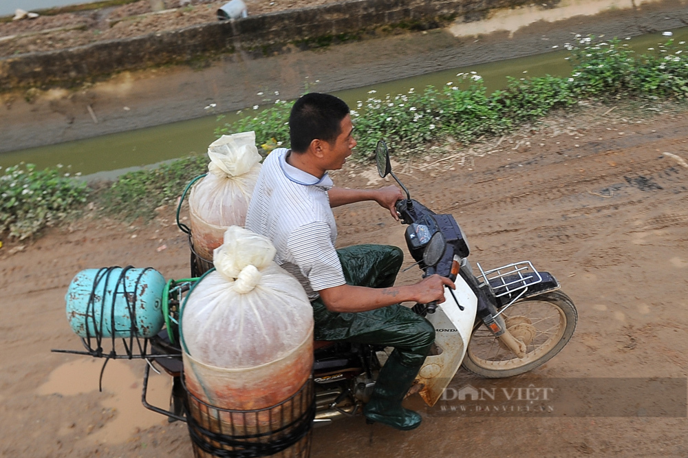 Rộn ràng làng cá chép Thủy Trầm chuyên &quot;cưỡi&quot; Táo Quân lên chầu trời - Ảnh 11.