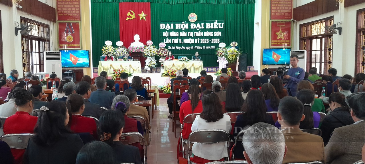Thái Nguyên: Hội nông dân thị trấn Hùng Sơn nhiều năm liên tục vượt chỉ tiêu kết nạp hội viên - Ảnh 1.