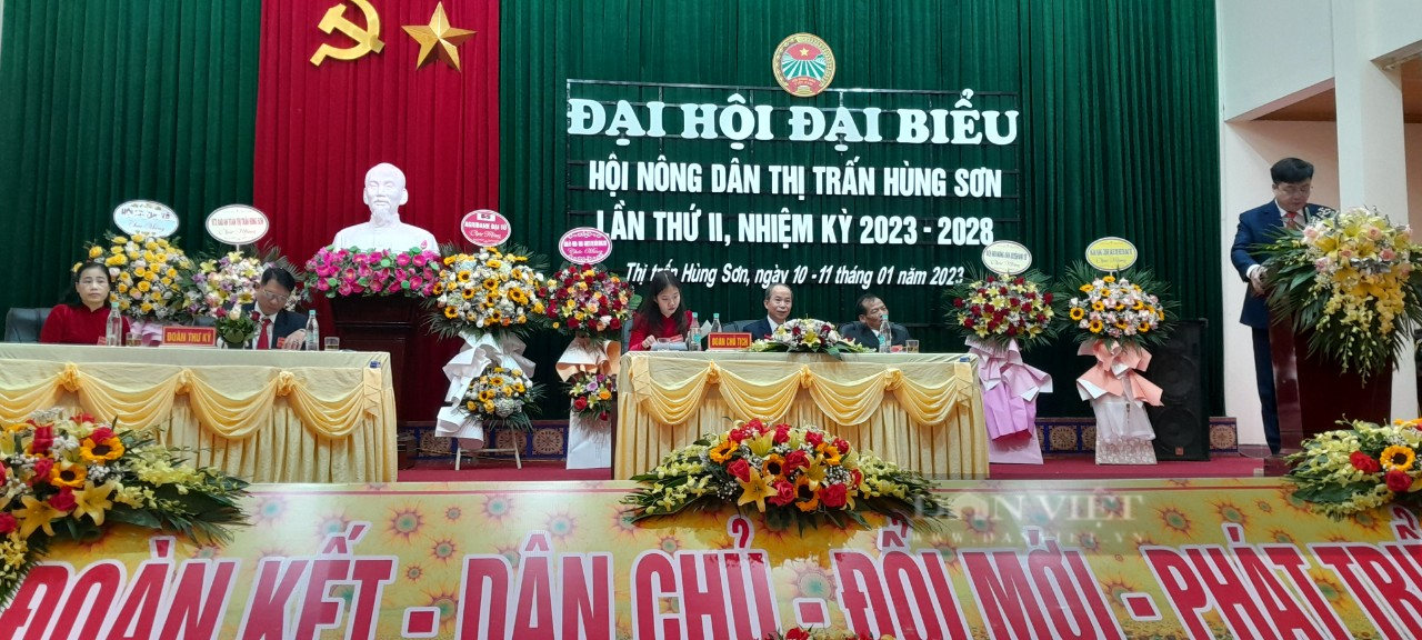Thái Nguyên: Hội nông dân thị trấn Hùng Sơn nhiều năm liên tục vượt chỉ tiêu kết nạp hội viên - Ảnh 2.