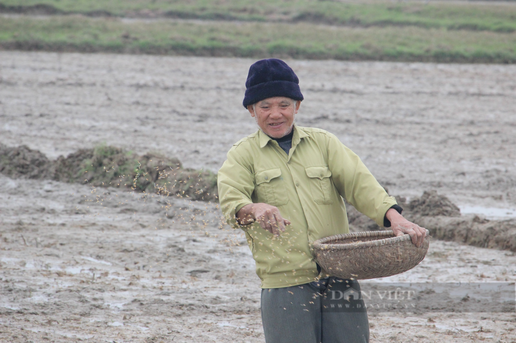 Nông dân Quảng Bình hối hả ra đồng gieo trồng vụ lúa đông - xuân trong tiết trời nắng ấm - Ảnh 1.