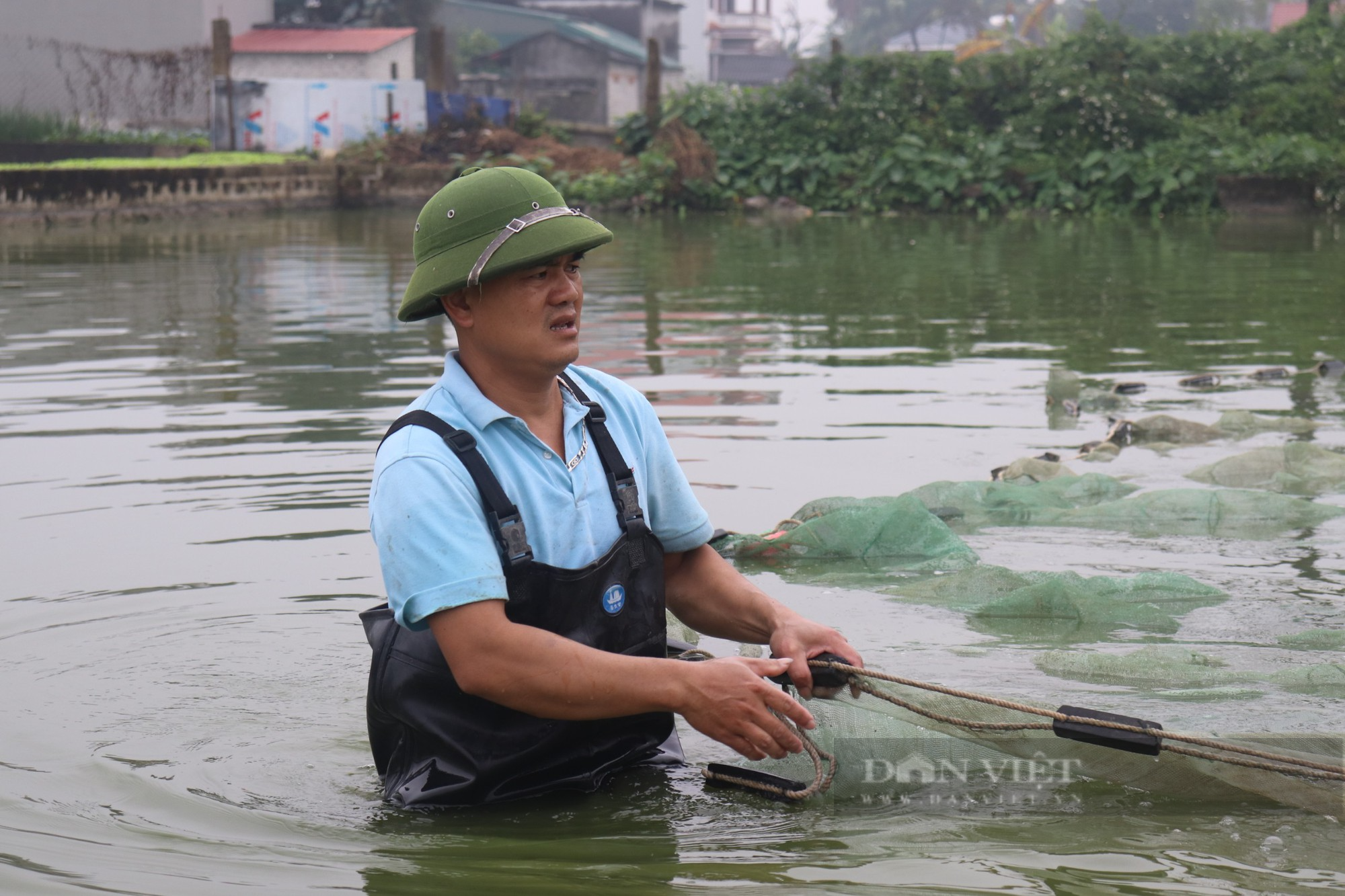 Làng nuôi cá đỏ cúng ông Công ông Táo ở xứ Thanh nhộp nhịp trước ngày tiễn Táo Quân chầu trời - Ảnh 2.