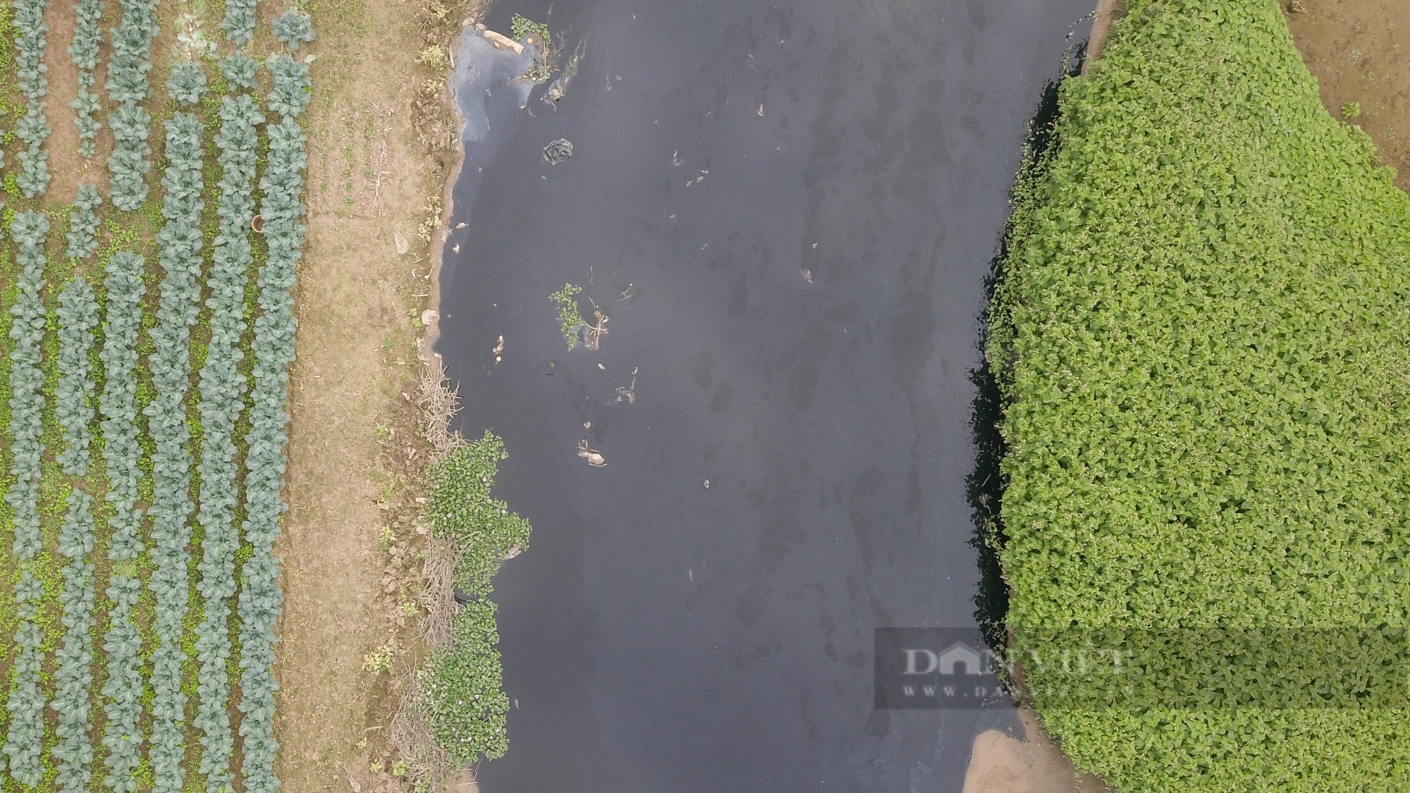 Cuộc sống của người dân xung quanh 4 con sông ô nhiễm ở Hà Nội - Ảnh 17.