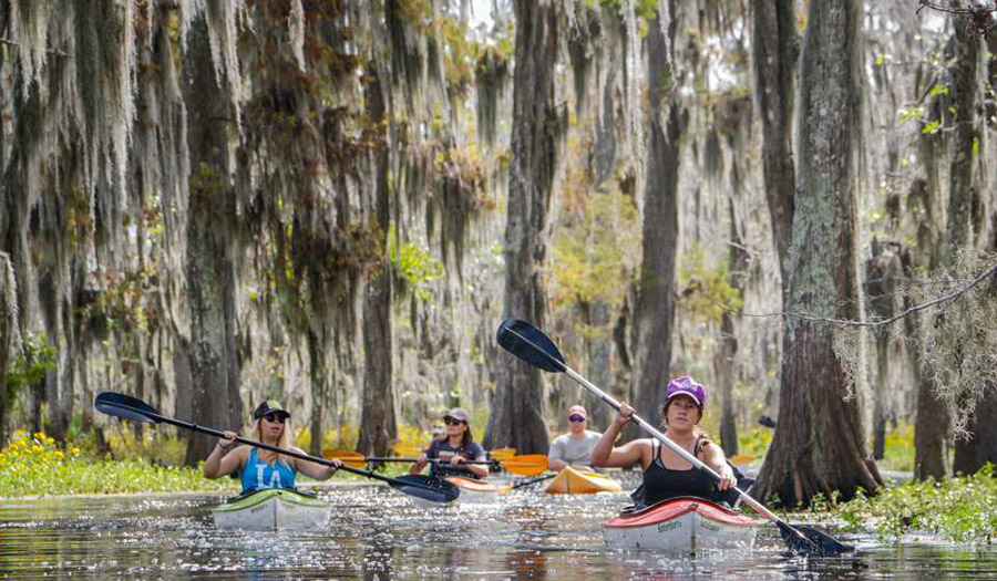 Du lịch Mỹ: Độc lạ với “Khỏa thân và sợ hãi” cùng tour khám phá đầm lầy Louisiana - Ảnh 3.