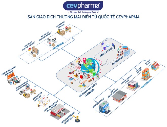 Ra mắt sàn giao dịch thương mại điện tử quốc tế CEVPharma - Ảnh 1.