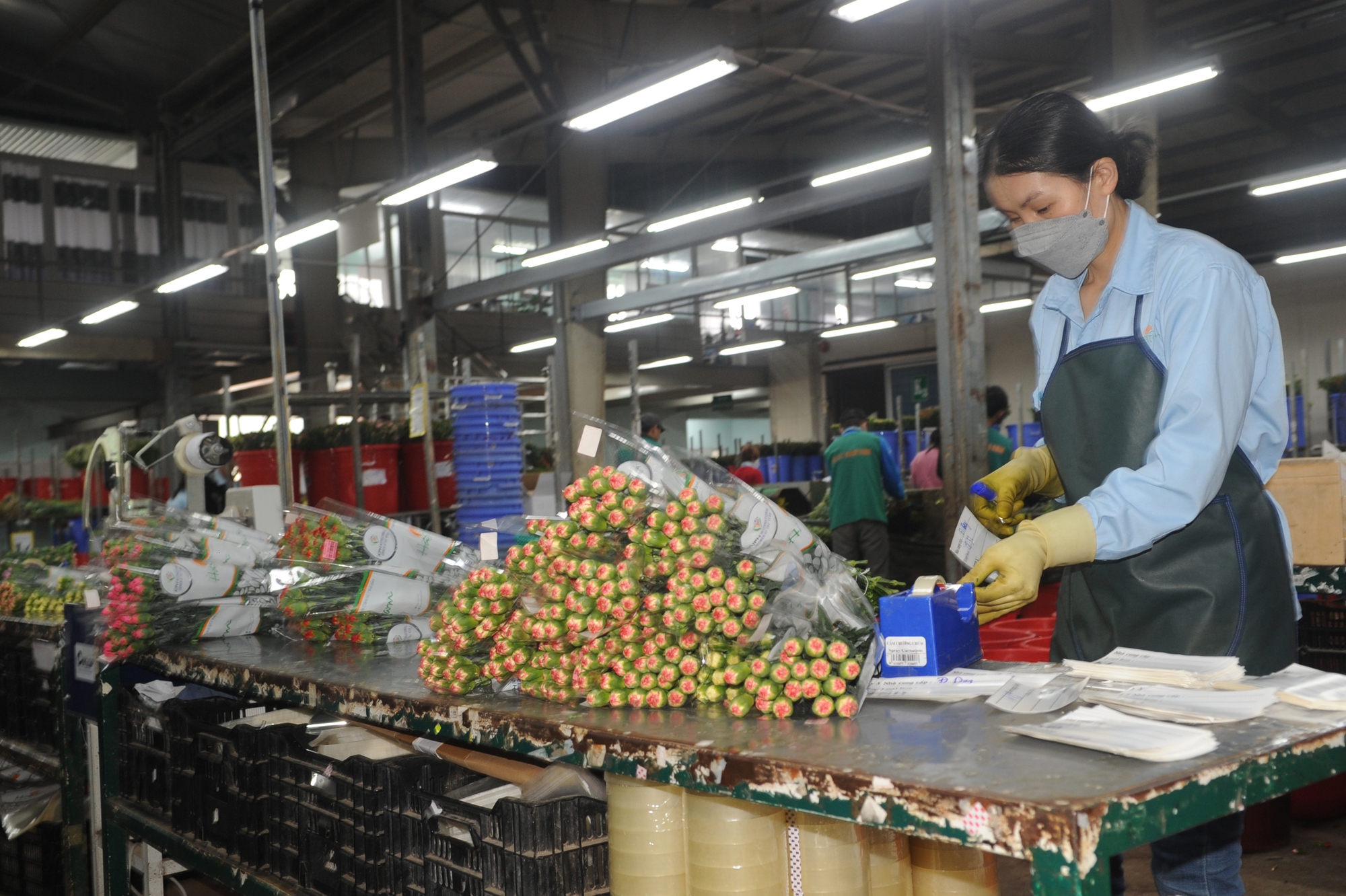 Hoa đào lên kệ siêu thị Sài Gòn, một hệ thống chuẩn bị hơn chục triệu cành hoa tươi bán Tết - Ảnh 3.