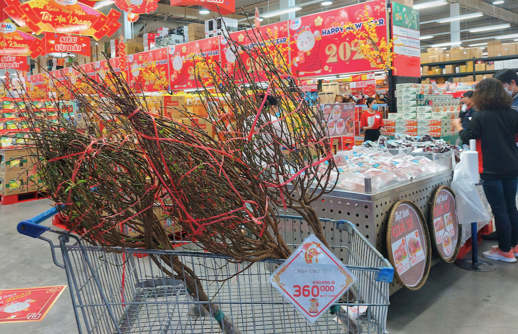 Hoa đào lên kệ siêu thị Sài Gòn, một hệ thống chuẩn bị hơn chục triệu cành hoa tươi bán Tết - Ảnh 2.