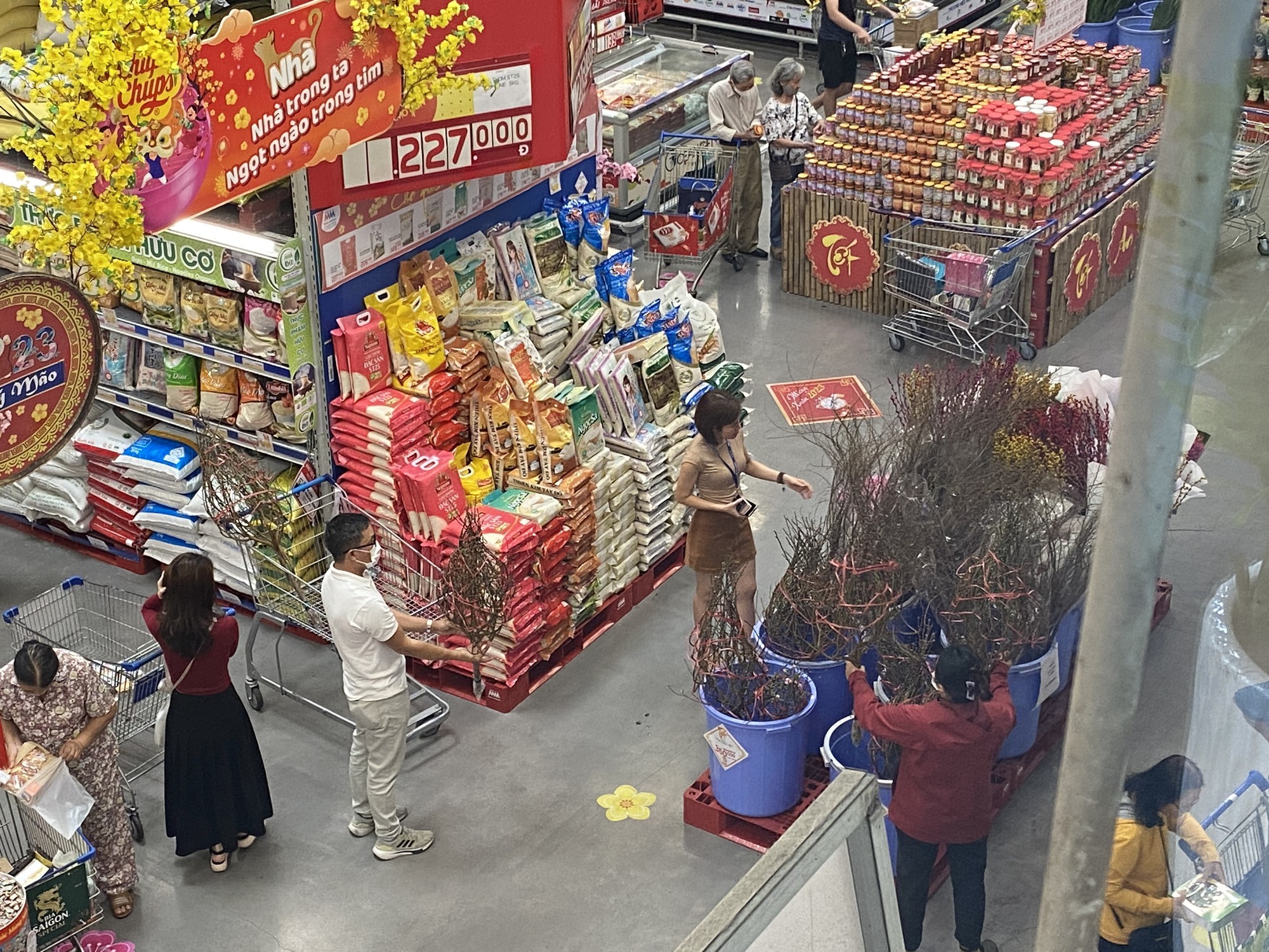 Hoa đào lên kệ siêu thị Sài Gòn, một hệ thống chuẩn bị hơn chục triệu cành hoa tươi bán Tết - Ảnh 1.