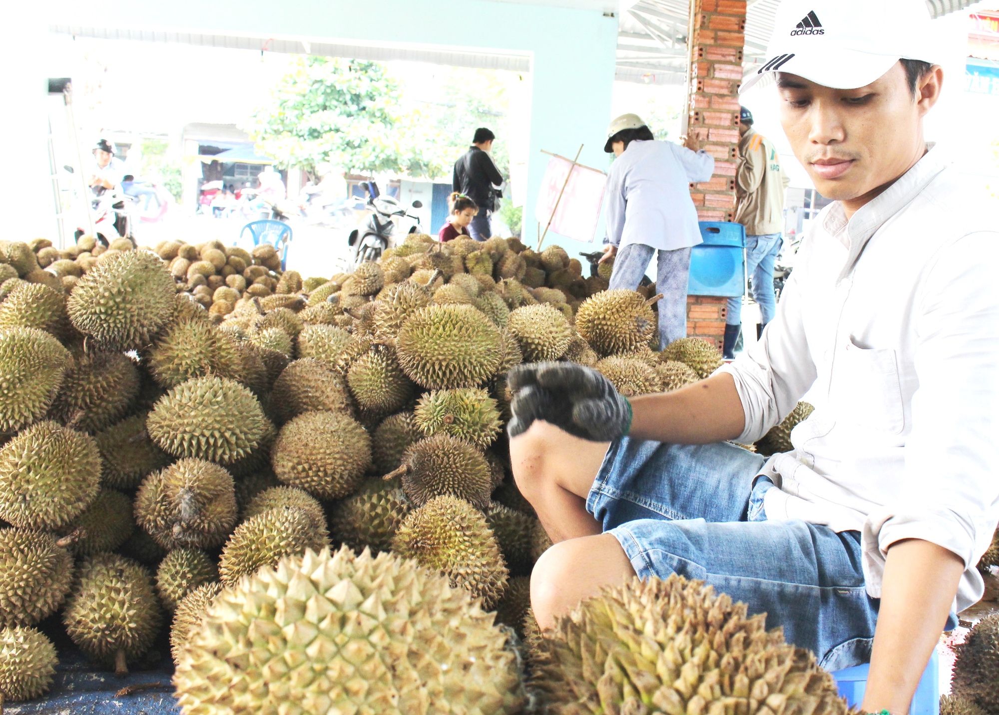 Nông nghiệp đã &quot;va đập&quot; rất nhiều, đạt những con số ấn tượng - Ảnh 2.