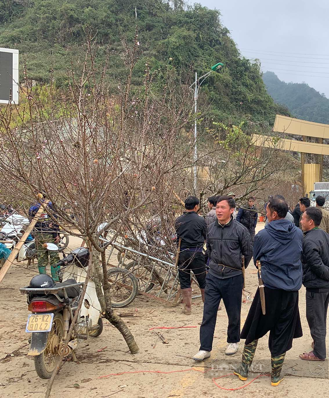 Du khách choáng với giá cây đào lên tới 10 triệu đồng ở Vân Hồ, tỉnh Sơn La - Ảnh 6.