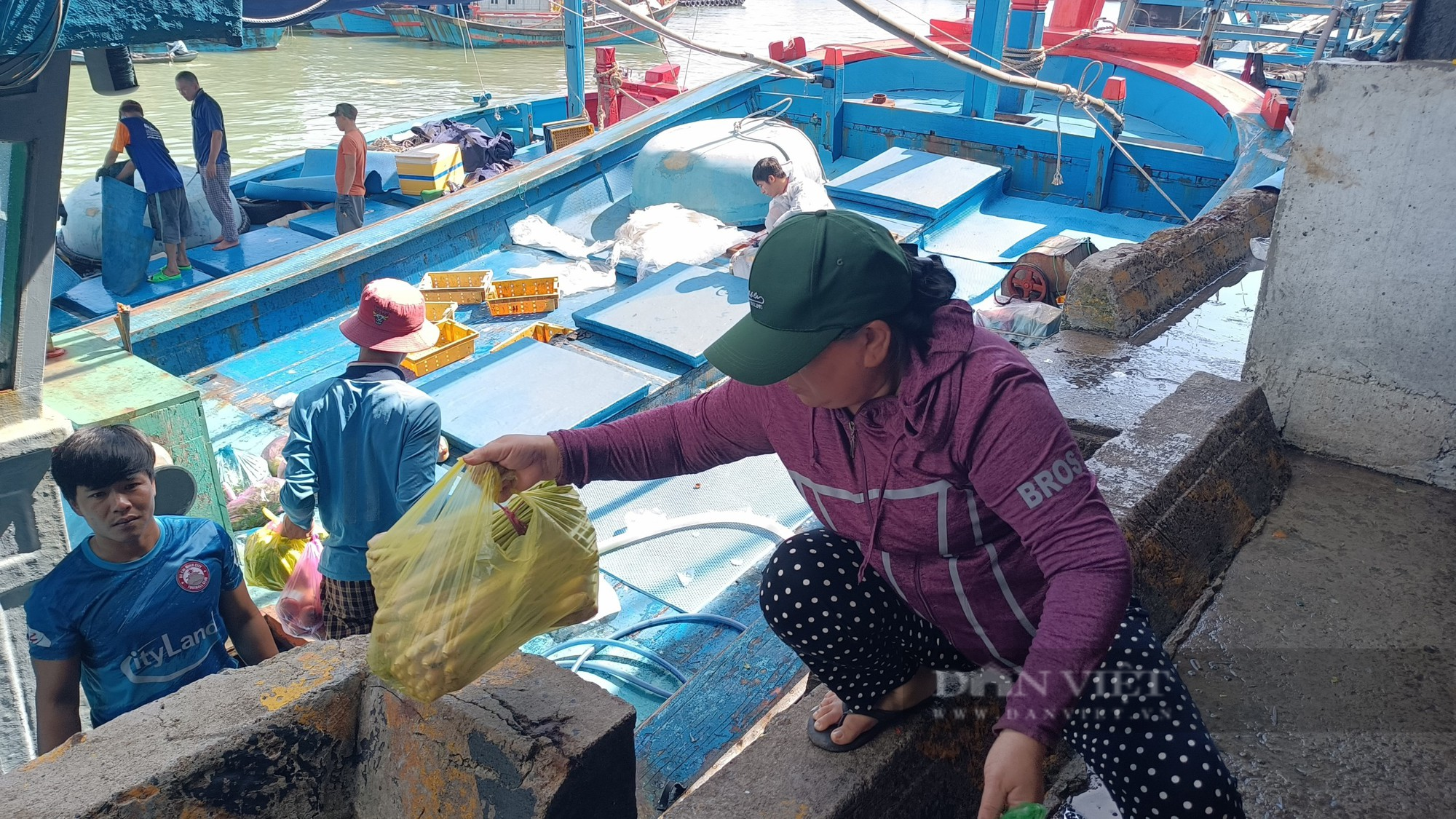 Hàng trăm ngư dân Khánh Hòa vươn khơi kiếm &quot;lộc&quot; xuyên Tết 2023 - Ảnh 4.