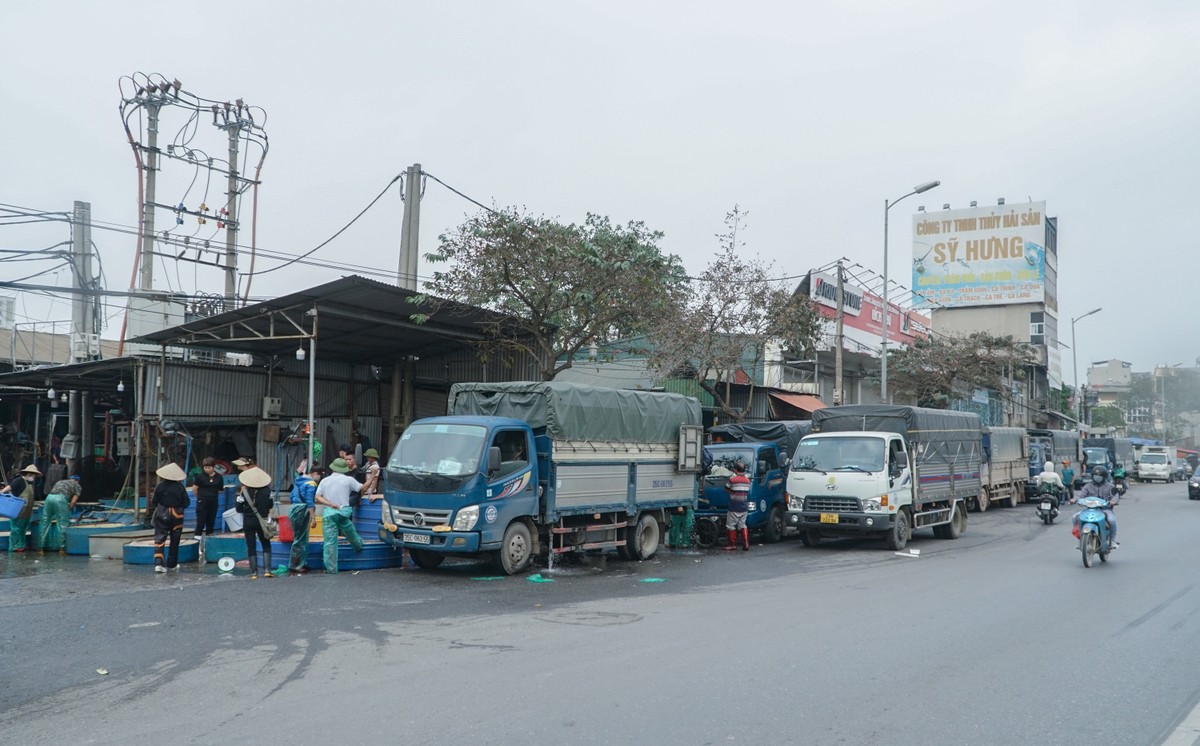 Chợ cá Yên Sở ở Hà Nội tấp nập gần ngày cúng ông Công ông Táo - Ảnh 3.