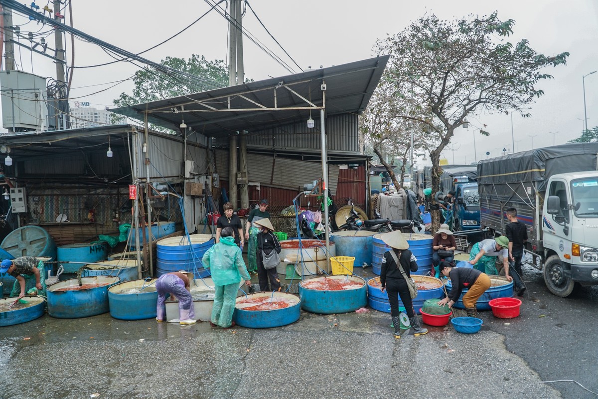 Chợ cá Yên Sở ở Hà Nội tấp nập gần ngày cúng ông Công ông Táo - Ảnh 5.
