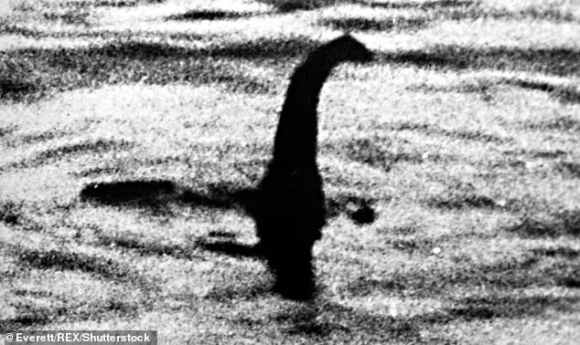 Thực hư, sinh vật kỳ lạ nghi là &quot;quái vật hồ Loch Ness&quot; bất ngờ xuất hiện ở biển - Ảnh 1.