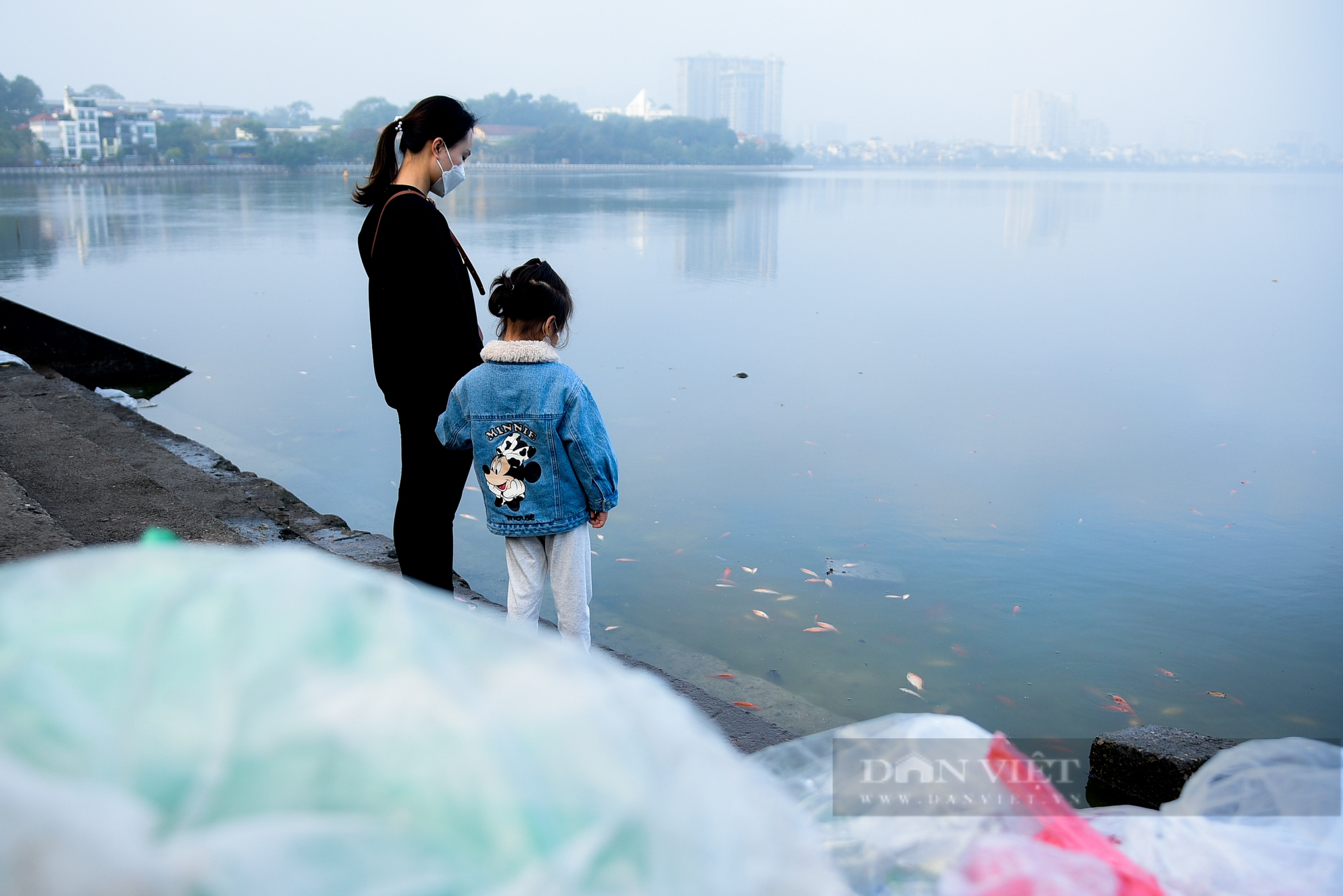 Cá chép bị &quot;ngửa bụng&quot; ngay sau khi phóng sinh cùng với tro tàn - Ảnh 9.