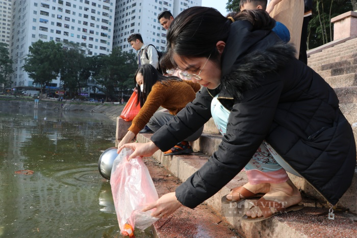 Người Hà Nội thả cá chép &quot;khủng&quot; tiễn ông Công, ông Táo về trời - Ảnh 1.