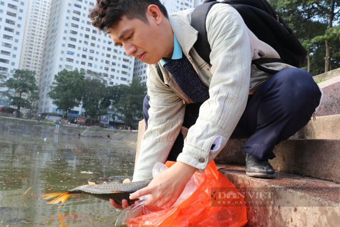 Người Hà Nội thả cá chép &quot;khủng&quot; tiễn ông Công, ông Táo về trời - Ảnh 4.