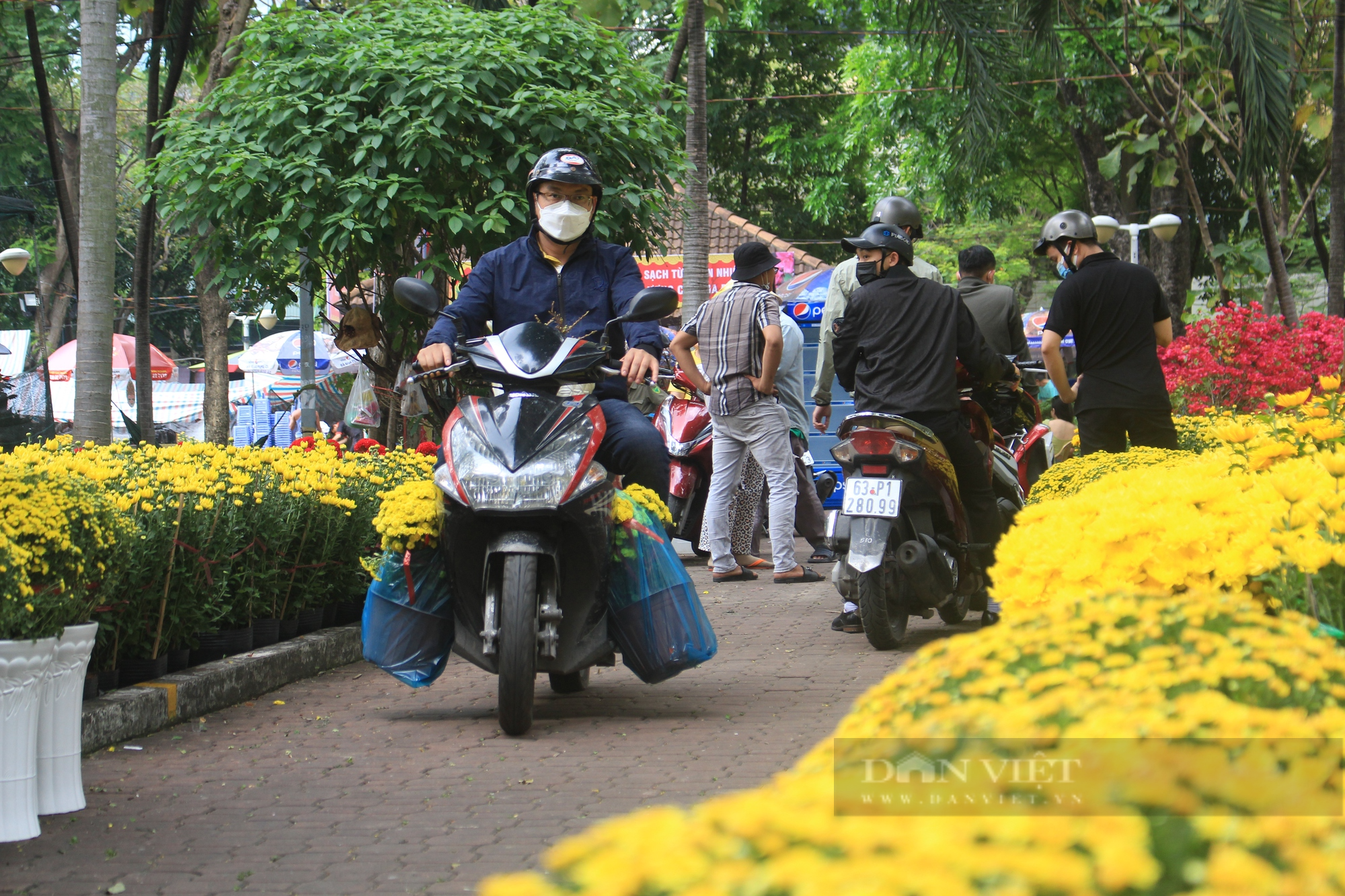 ẢNH: Hoa kiểng vừa xuống chợ hoa xuân, người Sài Gòn rinh về chơi Tết sớm - Ảnh 4.