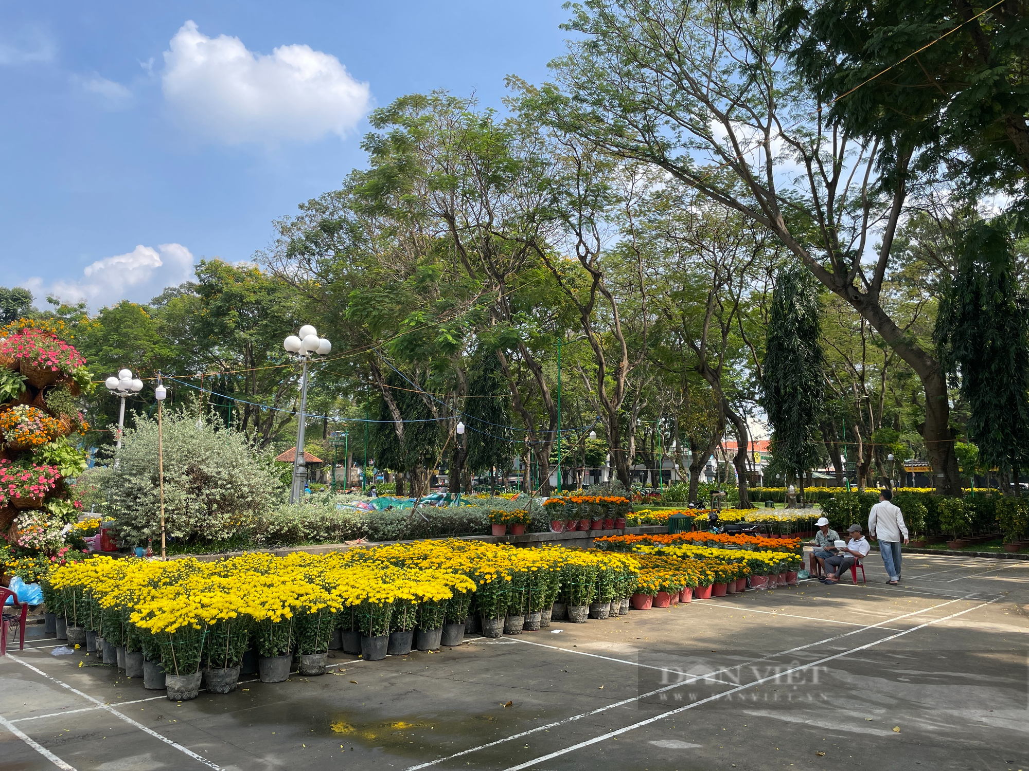 ẢNH: Hoa kiểng vừa xuống chợ hoa xuân, người Sài Gòn rinh về chơi Tết sớm - Ảnh 5.
